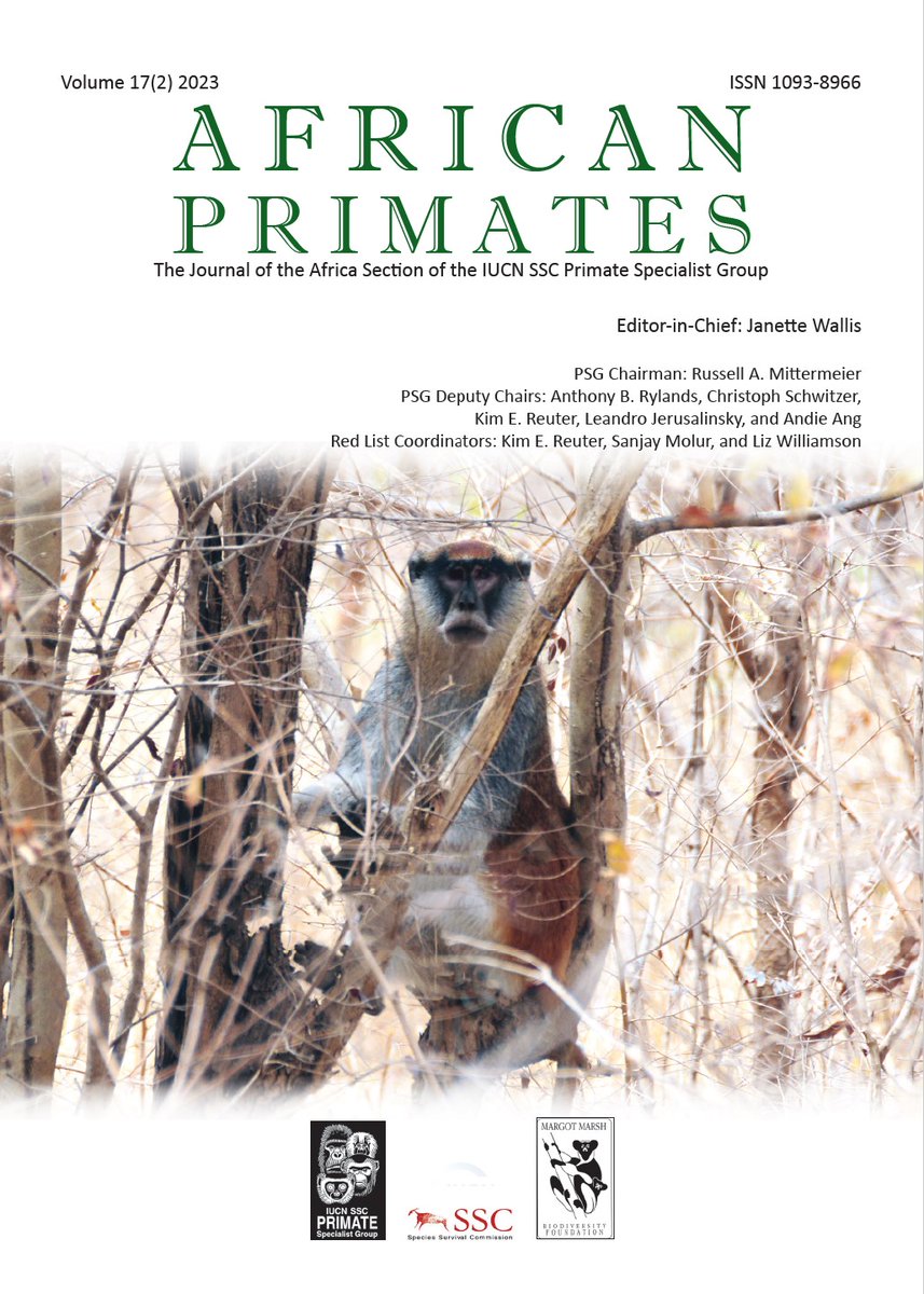 Hey, look at that! The latest issue of African Primates (IUCN journal dedicated to research and conservation of African primates) is now available online. Download your copy today! Articles can be downloaded individually, too. primate-sg.org/african-primat…