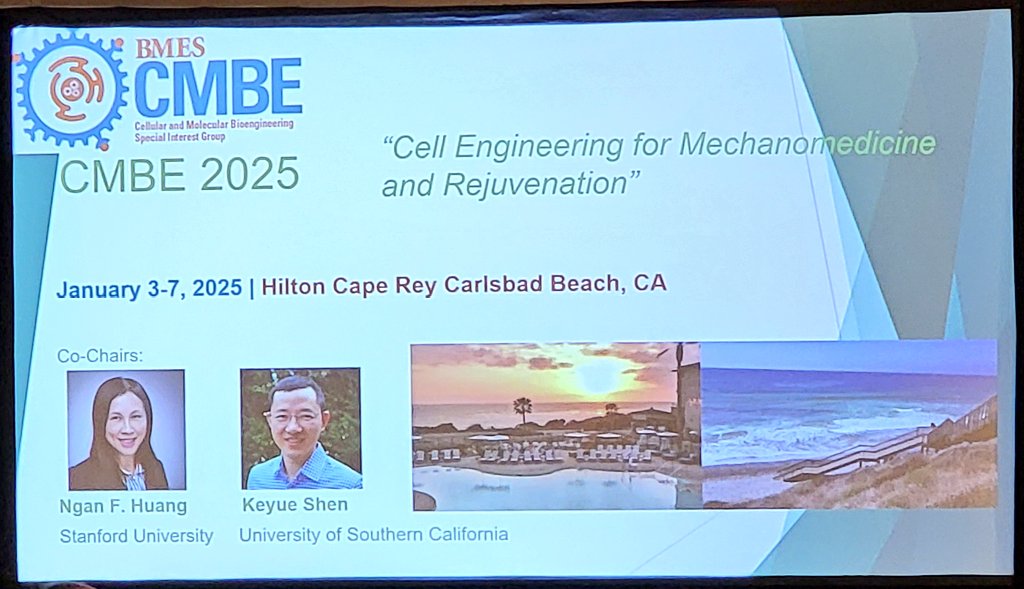 BMES Conference 2025 Image