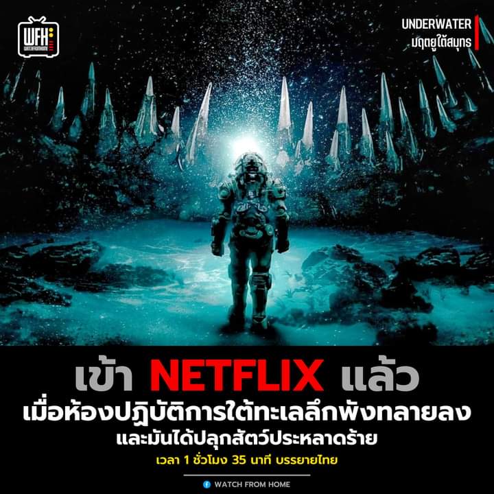 ꕁ💒 Netflix premium 4K พร้อมส่ง

30day𓏳55฿รีทวิตลดเหลือ 50฿
⚡️แอคไทย,มีพิณล็อคจอ
❄️จอหาร มีประกันตลอดการใช้งาน

สั่งซื้อ✧ lin.ee/afhnS2e
#เบียร์เดอะวอยส์ #สมุดหนังหมาHayDay
#ตรังโคราชห่าง14cm #LoveseniorEP9
#ลัทธิโยเร #หยิ่นวอร์ #หารnetflix #netflixราคาถูก #หารnetfilx