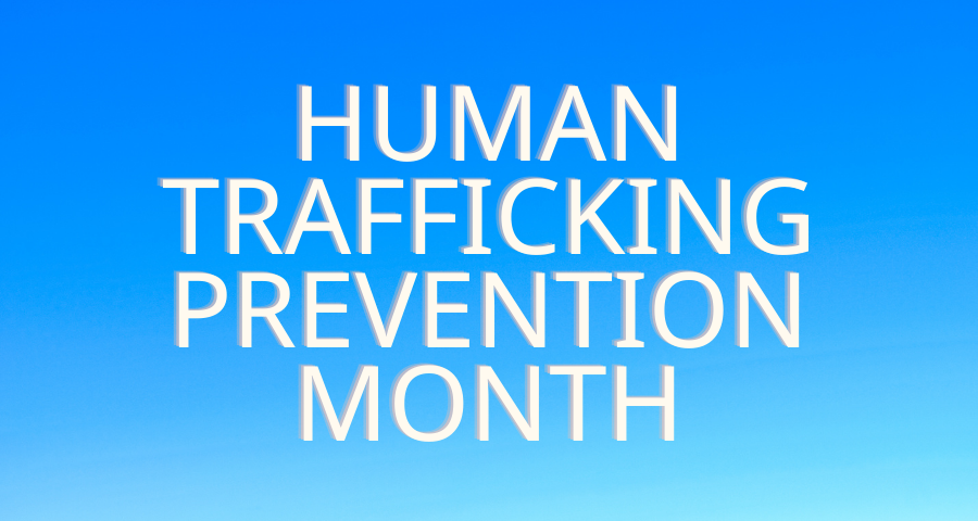 NAPNAP Partners tweet media