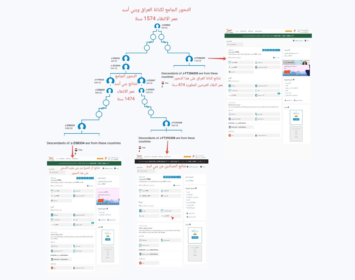DNA_2030's tweet photo. ياخي اترك التدليس الله يهديك تاخذ فرع من بني اسد الحدادين وتقول هذا تكتلهم وتترك الفرع الثاني الي هم ال الشيخ من بني مزيد الاسديبن يلتقون معهم في فرع أعلى بعمر قرب 1500 سنة وثاني شي ملفات vcf في yfull الأعمار غير دقيقة الحقيقة هنا 👇 https://t.co/RC3KpW6QjE