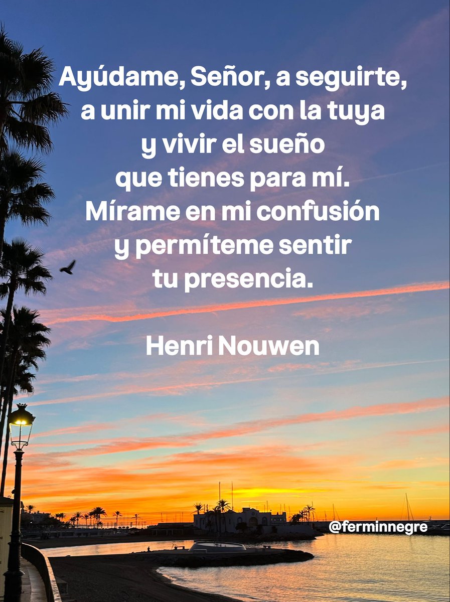 🪔 Fermín Negre 🎏 tweet media
