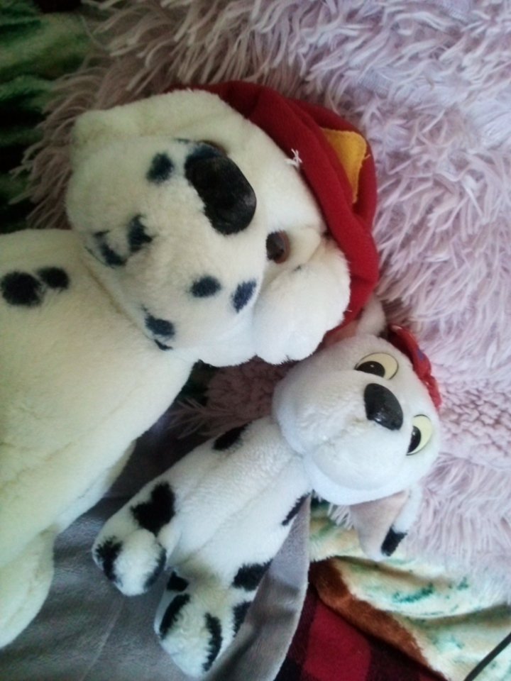 slothchan9012🦥💚🌺🌸🎧 tweet media