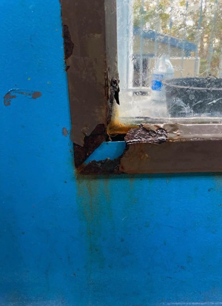 Christina Boomer Vazquez, M.S. tweet media