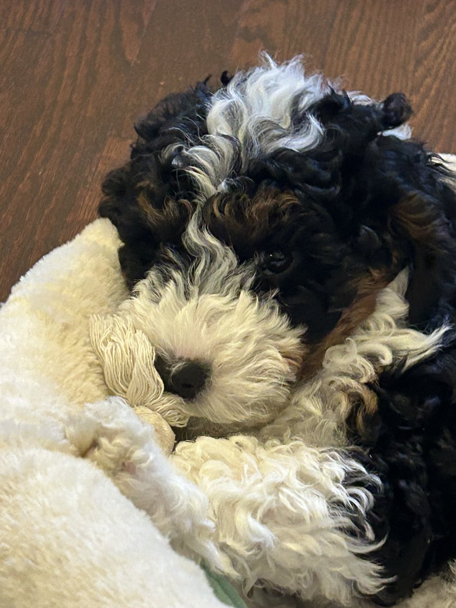 Meaghan Walker tweet media