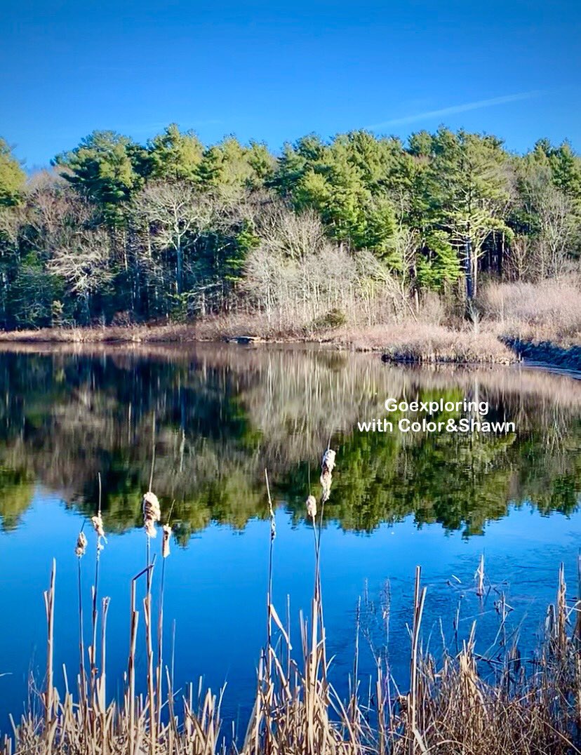 lingbird0's tweet image. Great winter view❤️

#winterview #nature #NaturePhotograhpy #pond