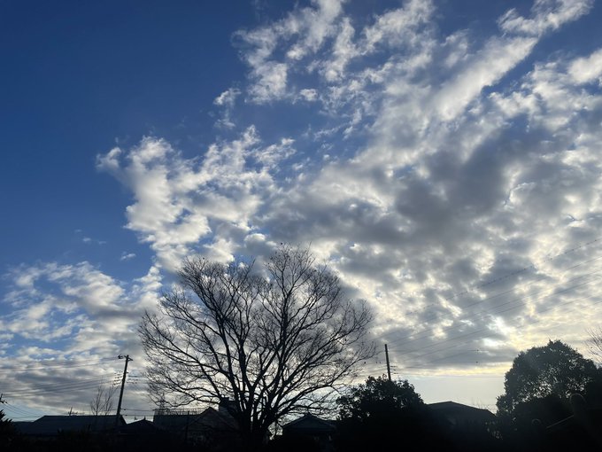 おはようございます
今日もお散歩おじさんやっていきます🥹 