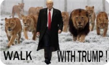 🇺🇸🇺🇸 Calling all Patriots 🇺🇸🇺🇸 🚂 TRUMP TRAIN!!!🚂 🦅 NEXT STOP THE WHITE HOUSE🦅 👇Drop your handle in the comments👇 💪GROW THOSE ACCOUNTS UNITED WE ARE STRONG 💪 👀 I WILL FOLLOW BACK ALL 👀 🇺🇸🇺🇸Retweet/follow fellow patriots🇺🇸🇺🇸 🇺🇸🇺🇸WWG1WGA🇺🇸🇺🇸 🇺🇸#IFB 💯🇺🇸