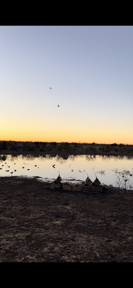 MROgear's tweet photo. OK, hunters and baseball fans, which is more exciting… Ducks on the pond with a gun on your shoulder or ducks on the pond with a bat in your hand?@MRO @blitzemD #hunt #duckhunting #waterfowl https://t.co/IfwUQU8xWu