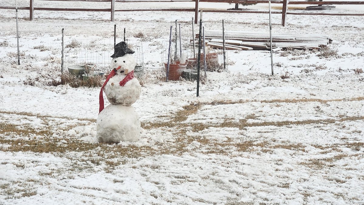 AMWWX's tweet image. Melting has kept accumulatons limited so far, but about 0.5" had accumulated at the Ward homestead as of 5 pm. #phwx @NWSAmarillo