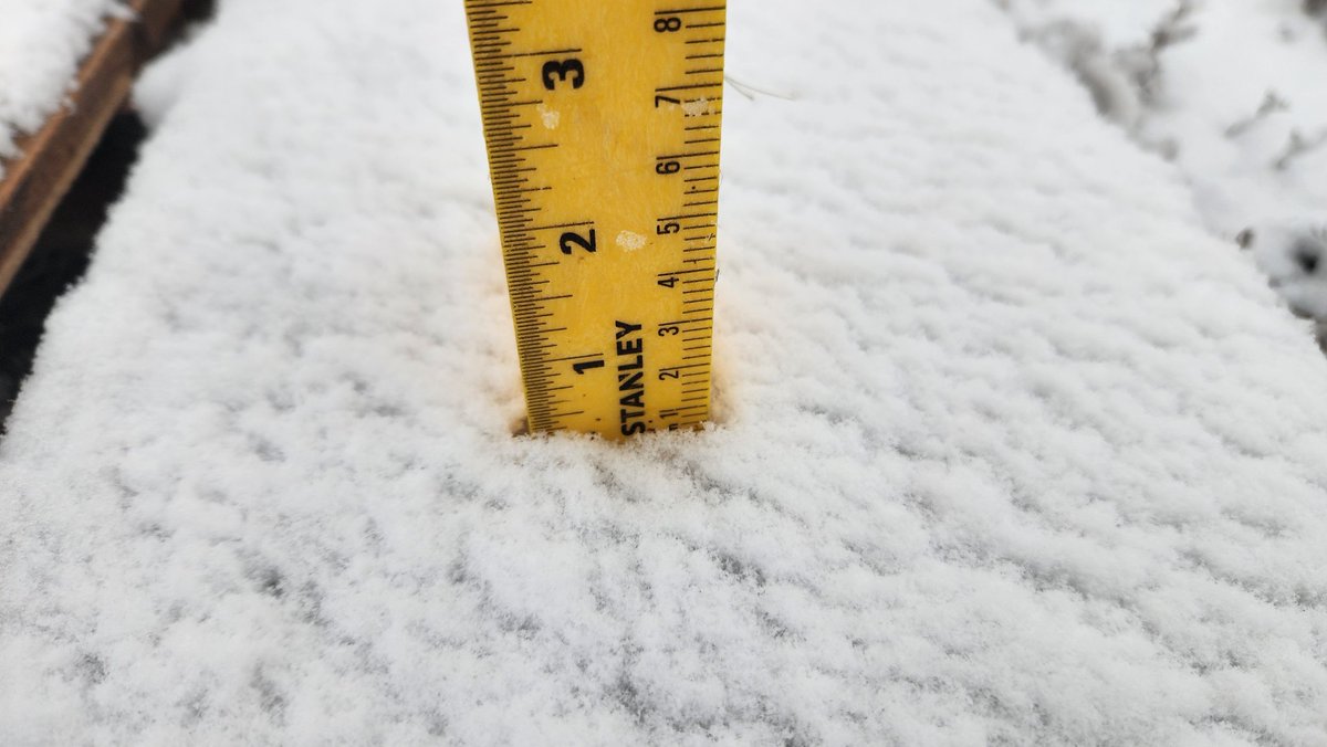 AMWWX's tweet image. Melting has kept accumulatons limited so far, but about 0.5" had accumulated at the Ward homestead as of 5 pm. #phwx @NWSAmarillo