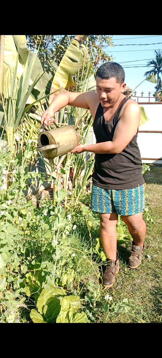LongjamYama's tweet photo. Home gardening 🕊️🔥🌹 https://t.co/ZNY5bf0CFa