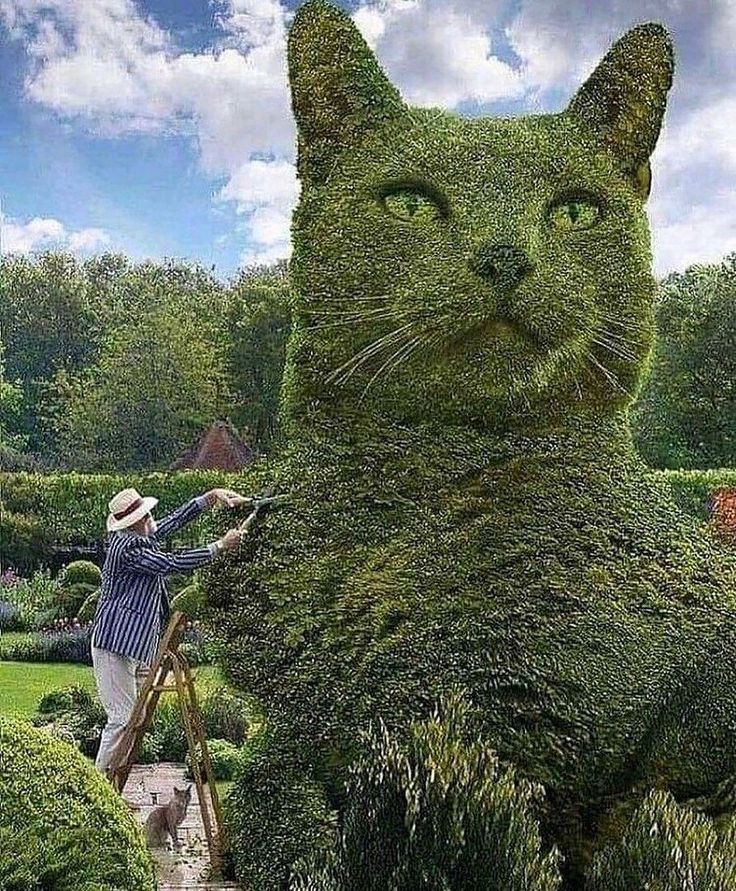 if i ever won the lottery there would be signs