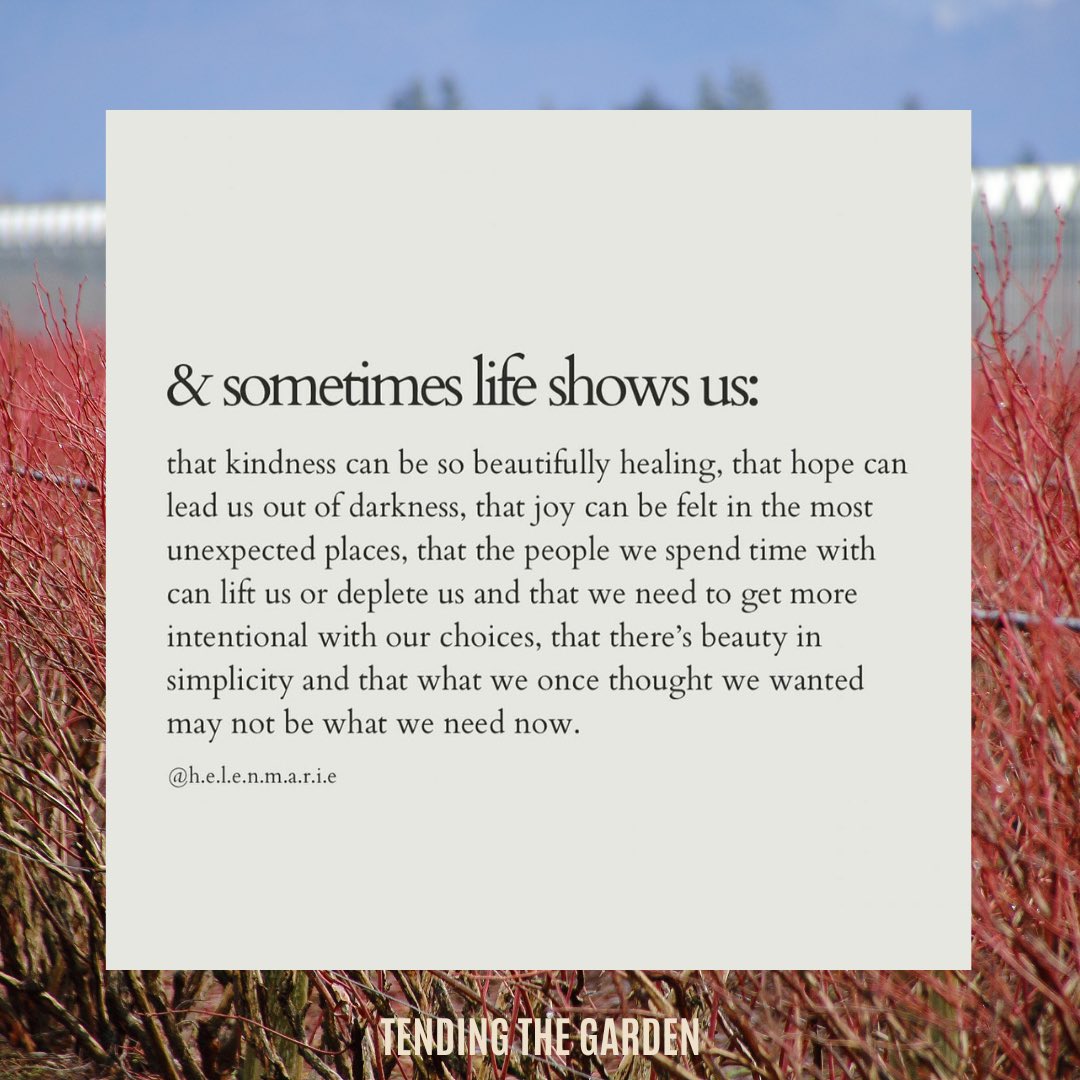 TTG4SAS's tweet photo. and sometimes life shows us: 

#tendingthegarden https://t.co/Yze5G69AUr