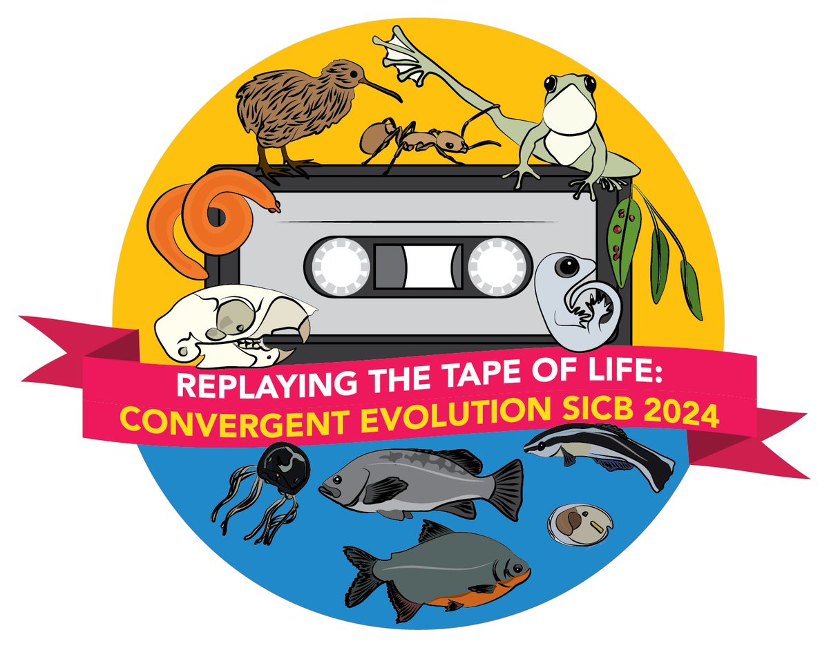 Hello #SICB2024 ! Check out our convergent evolution symposium tomorrow (1/5) in Ballroom B. We have an awesome line-up of presentations about evolutionary convergence in diverse study systems and across levels of biological organization