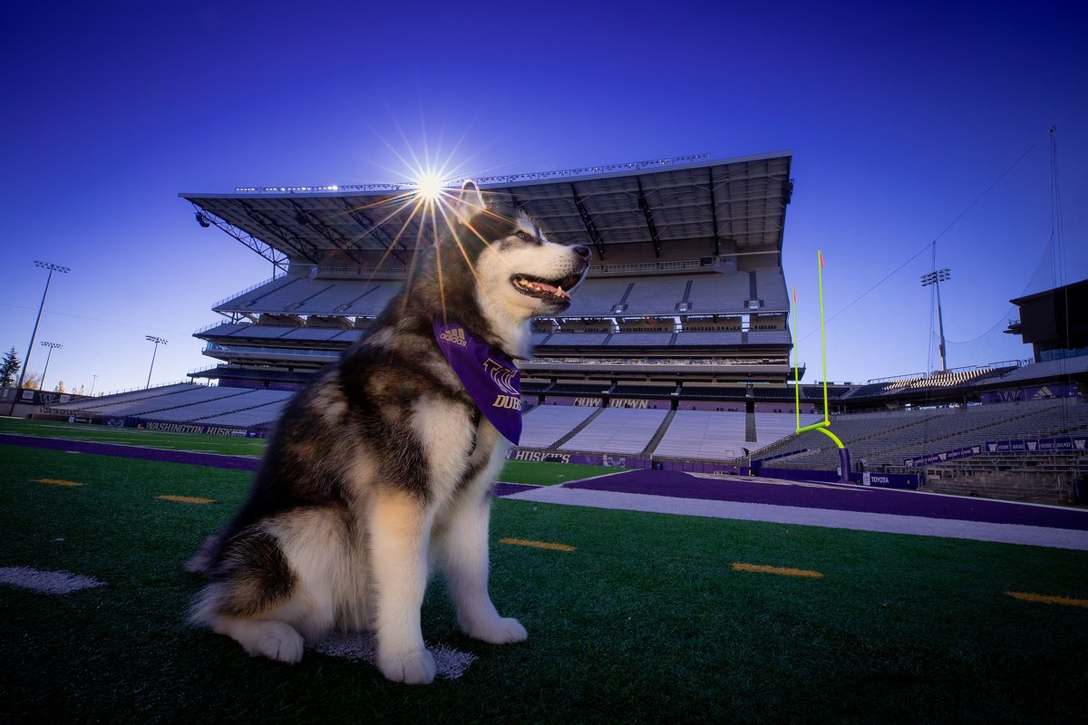 Happy Birthday Dubs! You are having quite a week! <a href="/DubsUW/">Dubs</a> <a href="/UWAthletics/">Washington Athletics</a> <a href="/UW_Football/">Washington Football</a> #Dubs #DubsUW #TheGreatestSetting