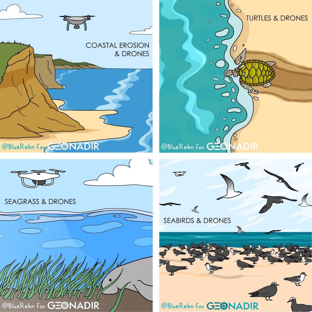 There's no shortage of applications of drone mapping in marine and coastal environments. Here are some of our favourites! Visit our blog for stories about each of them

geonadir.com/stories-from-a…

#drones #geospatial #remotesensing #coastal #erosion #turtles #seabirds #seagrass
