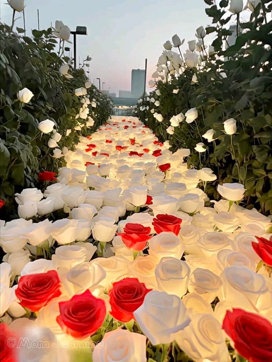 শুভ জুমা মোবারক🌼🌼