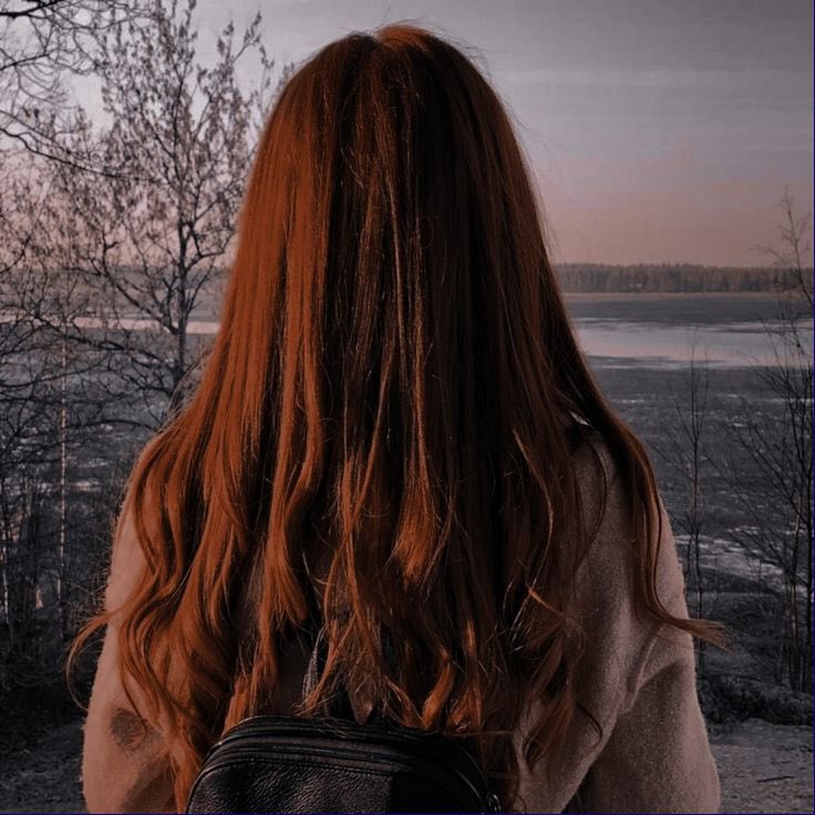 Ginny. (@bravestoflion) on Twitter photo 