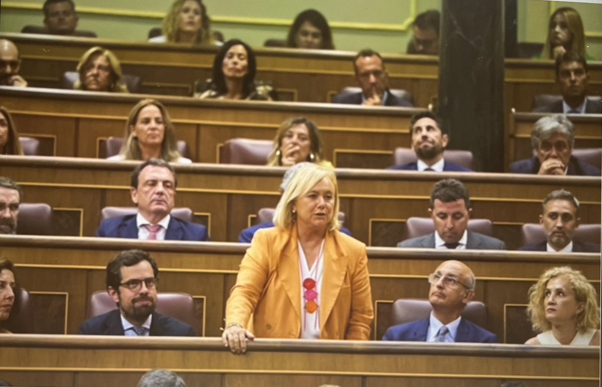 Mercedes Fernández tweet media