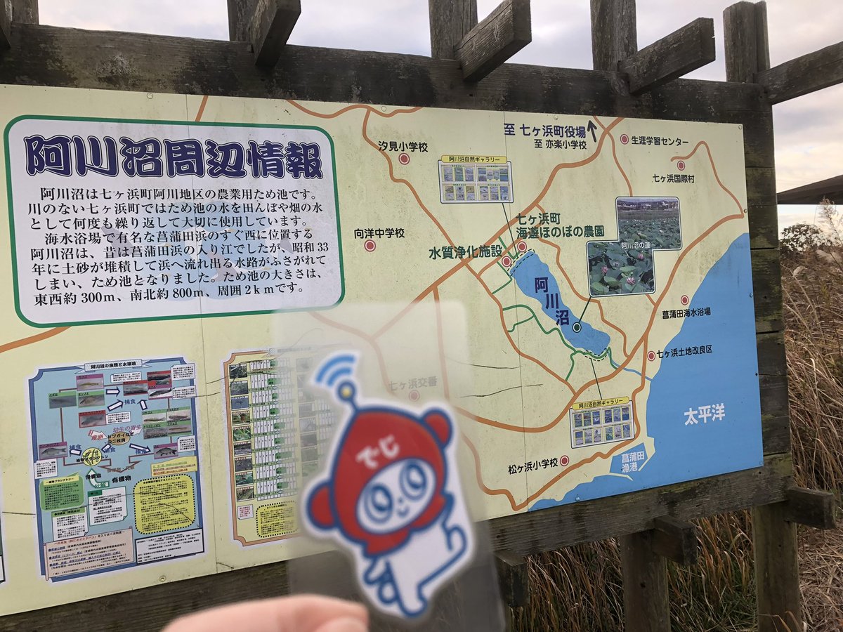 Degibou2022's tweet photo. 七ヶ浜町にある阿川沼の調査に連れてってもらったよ🐻‍❄️
沼の中の堆積物を調べることで、過去の津波履歴や規模を解明できるんだって📝
ボートに乗って大変そう！🛶
白鳥さんもいたよ🦢

#でじぼう #東北大学 #災害研 #研究 #調査 #津波堆積物調査 #白鳥 https://t.co/5FdLZw4FRS