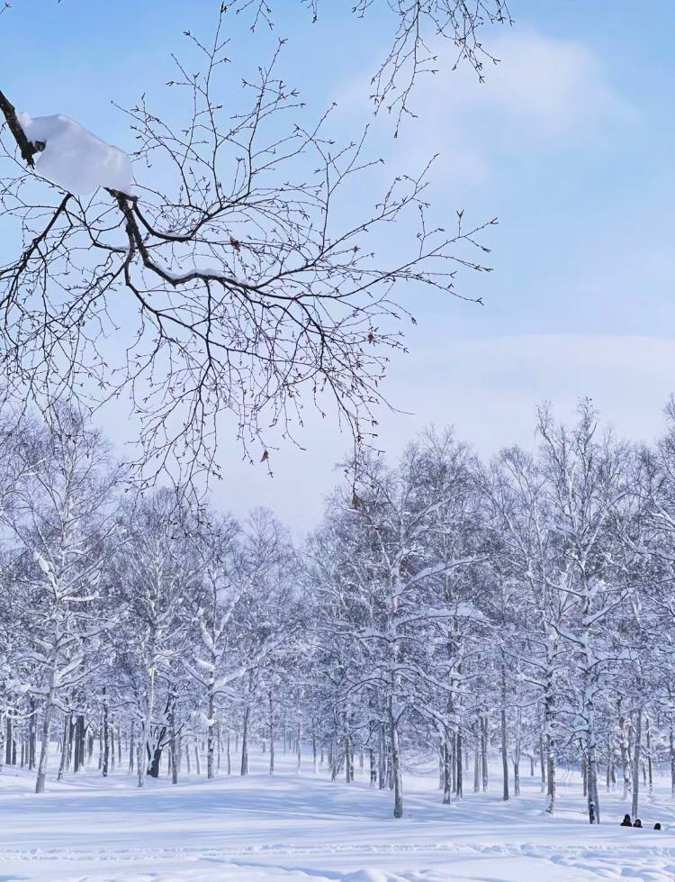 Sunlight2361's tweet photo. Beautiful snow scenery in Hokkaido, I will come to see you soon. 🥰🥰🥰 https://t.co/mPZZMMfaXo