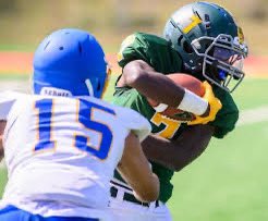 After a great chat with Coach Tay I am blessed to receive my 9th offer from Minnesota north mesabi💛💚 #AGTG #HoldTheRope <a href="/ThomasInforzato/">Tom Inforzato</a> <a href="/MRCNorseFB/">MesabiRange Football</a>  <a href="/CoachBarker813/">Alan Barker</a> @coachDimiDel <a href="/FreedomFBTampa/">Freedom Football</a> @headcoachp