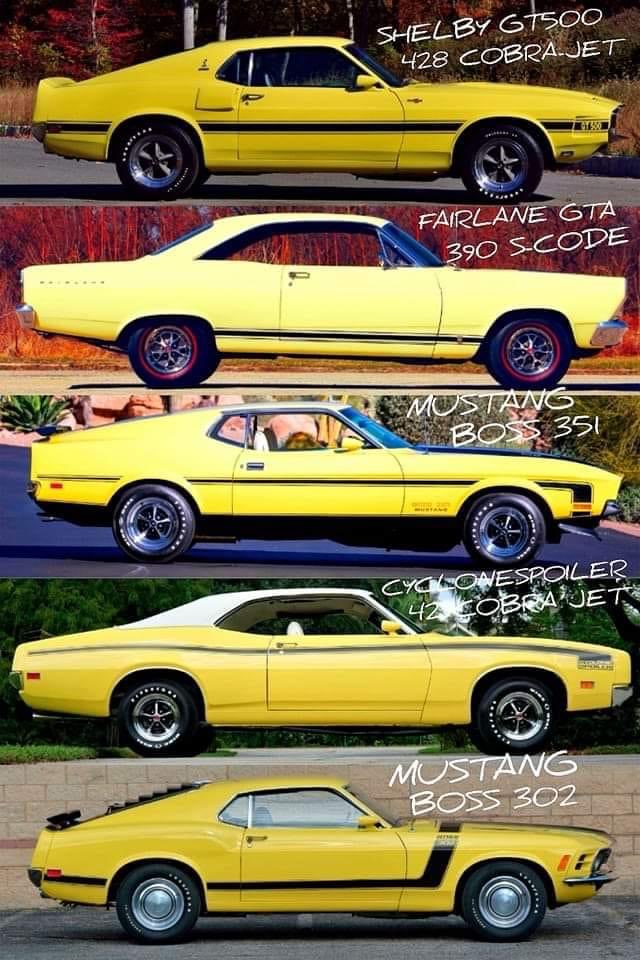 Dino Kasamis tweet media