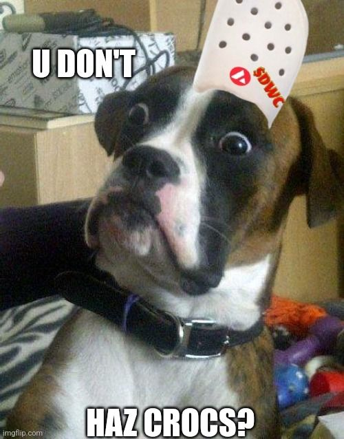 BIGGEST MEME CONTEST IN AVAX HISTORY!

.......with crocs

🏆$1K in $AVAX to the winner.
- 2nd place $300 in avax 
- 3rd place $200 in avax

Make the best meme you can using dogs wif crocs. 

What will you be judged on? Focus on humor, creativity, and engagement.  Plus effort and