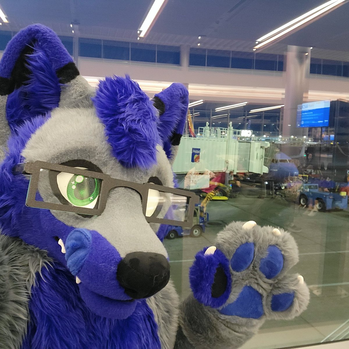 #PDFC2024 here we come! Waiting for our plane with @yukontehhusky. He has to deal with my weirdness hehe
#SouthWest #SouthWestAirlines
