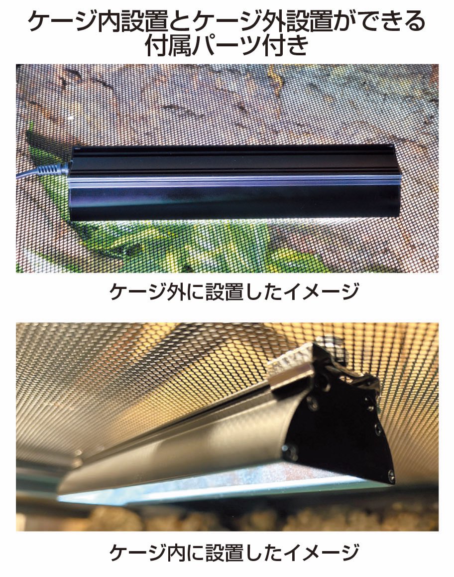 ゼンスイ株式会社レプタイル部門 tweet media