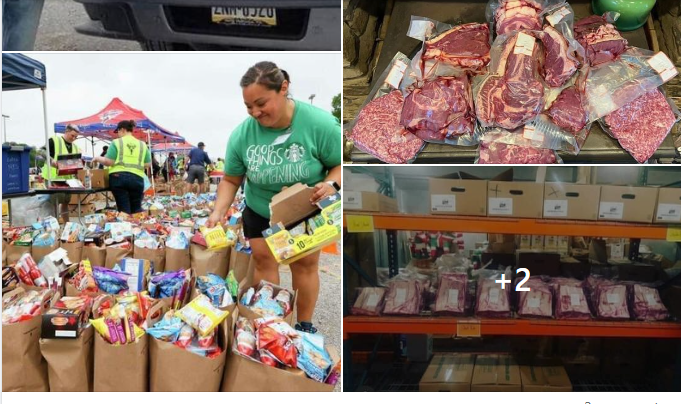 CyberSecApe's tweet photo. @meanwhileinau This is the latest trend of the gov initiated 10 cents per recyclable scheme.  There are a myriad of soup kitchens, community based food pantries, food galore for those in need.  Just saw today a group giving away fresh packaged meat for those in need. https://t.co/0eWcESM3ez