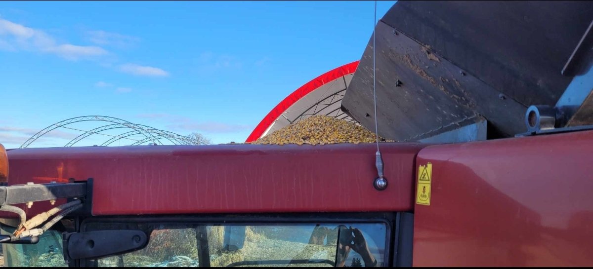 RomkesRon's tweet photo. I'm I doing it right #cabcorn https://t.co/So2QbBAnUF
