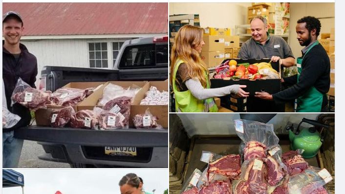 CyberSecApe's tweet photo. @meanwhileinau This is the latest trend of the gov initiated 10 cents per recyclable scheme.  There are a myriad of soup kitchens, community based food pantries, food galore for those in need.  Just saw today a group giving away fresh packaged meat for those in need. https://t.co/0eWcESM3ez