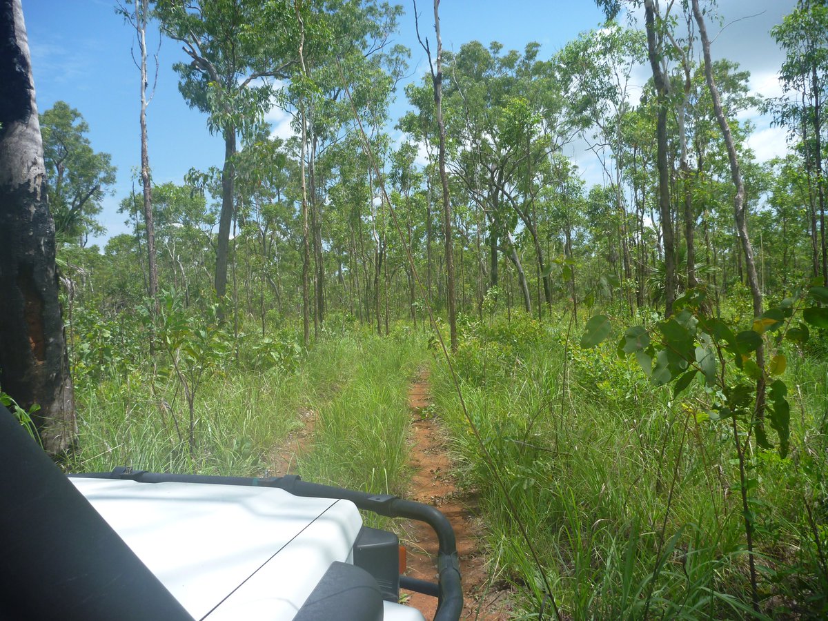 maitec (@maitec_sec) on Twitter photo We've done our first trip in 2024 to the #NorthAustralianSatelliteValidationFacility (#NASVF) <a href="/LitchfieldSSS/">Litchfield Supersite</a> to sample leaf traps, download large volume datasets and do general instrument maintenance. 36C with 65% humidity (equiv to a heat index of 49C) meant it was very hot!!! We've done our first trip in 2024 to the #NorthAustralianSatelliteValidationFacility (#NASVF) <a href="/LitchfieldSSS/">Litchfield Supersite</a> to sample leaf traps, download large volume datasets and do general instrument maintenance. 36C with 65% humidity (equiv to a heat index of 49C) meant it was very hot!!!