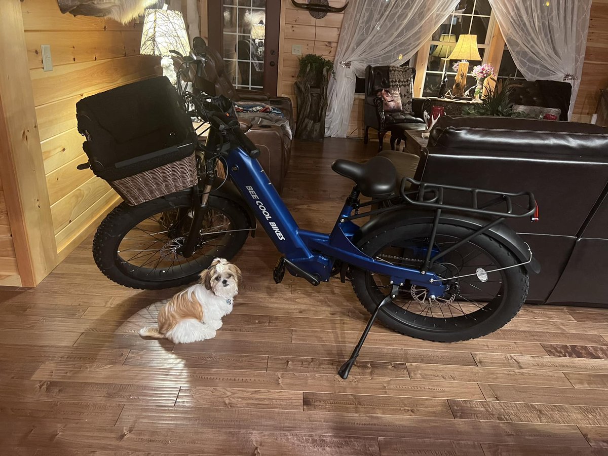 BeecoolBikes's tweet photo. ๐Bee Pathfinder Step-Thru | Easy On & Easy Go
๐ธ by Tracey Jackson
https://t.co/FFcNU4cLh7
#beecoolbikes #beecool #ebike #fattire #largebattery #powerfulmotor #seatsuspension #hydraulicfork #mountainbike #bikelife #newyearsale #freegift #beepathfinder #stepthru https://t.co/BZRPcsFdZ8