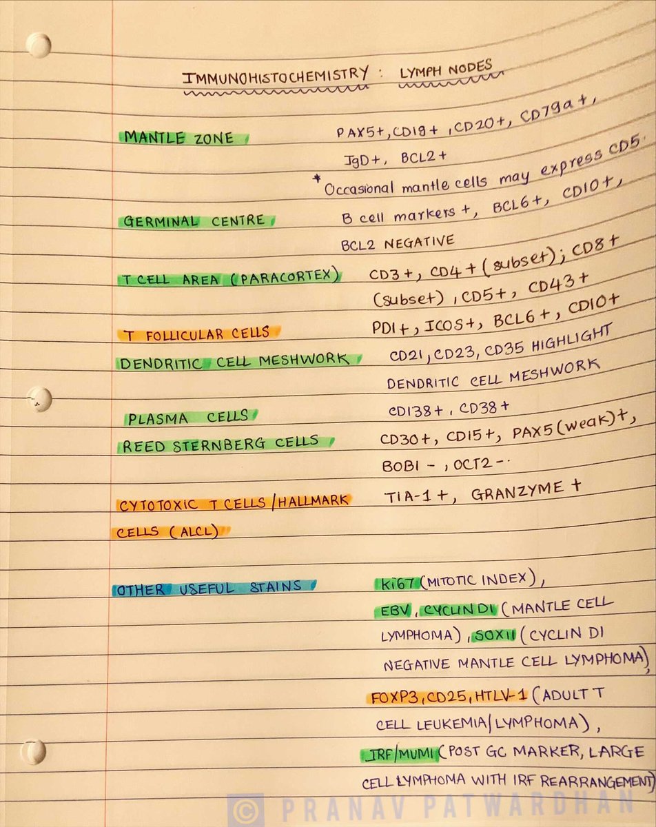 pranavp01's tweet image. Supplemental notes to the Lymph Node IHC table I shared a couple of weeks earlier. Important to know the normal staining patterns in a lymph node. “Green” stains are more commonly used routinely than the “yellow” ones.  #Hematopathology #PathEd