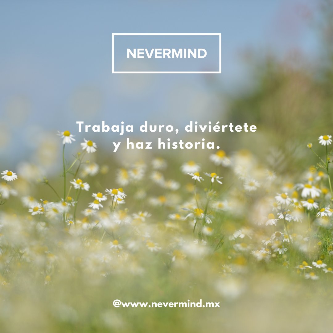 NEVERMIND tweet media