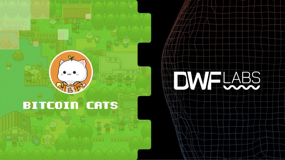 Bitcoin Cats & DWF Labs Announced Strategic Partnership