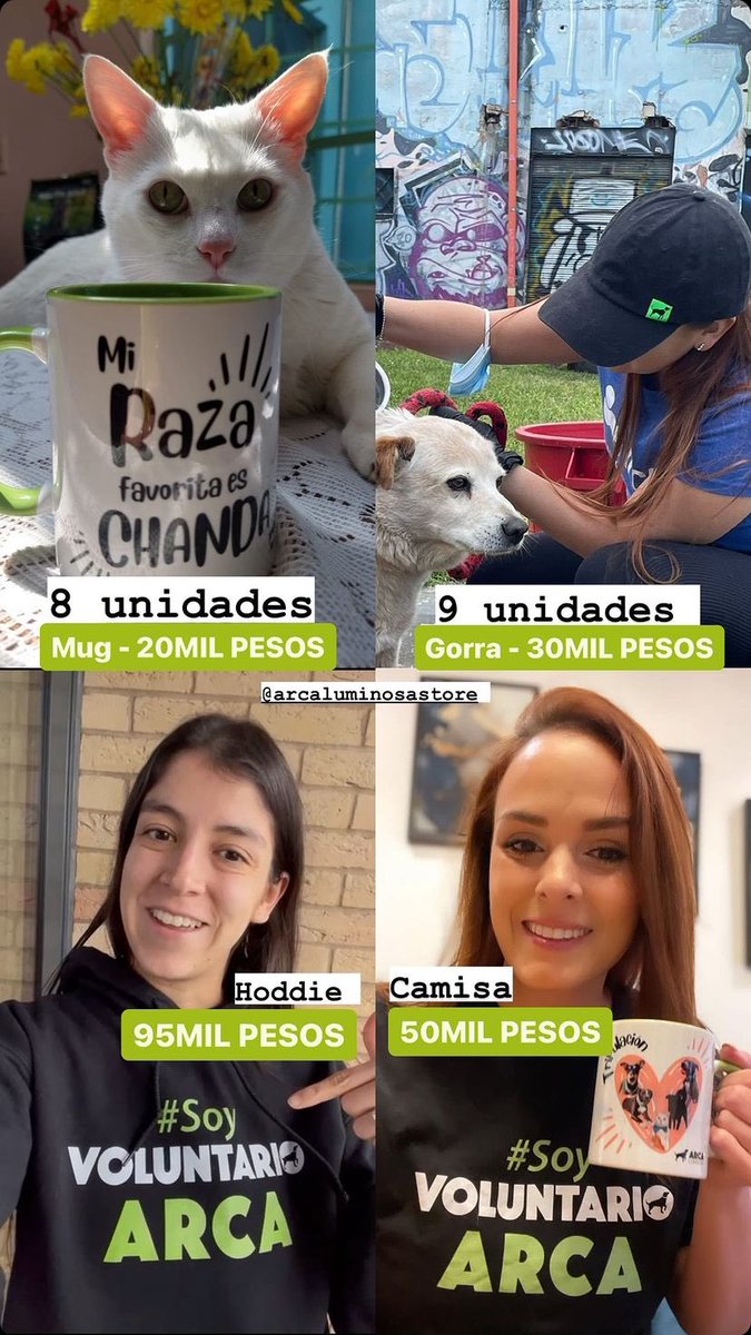 MUGS ARCA a 20MIL pesos (Últimas 8 unidades) CAMISETAS 💚 a 50MIL pesos (Queda una en Talla L) HODDIE ARCA a 95MIL pesos (Últimas 7 unidades Talla M) 💚🐶GORRAS ARCA a 30MIL pesos (Últimas 9 unidades) ¡NO TE QUEDES SIN EL TUYO! 🙌🏻💚
