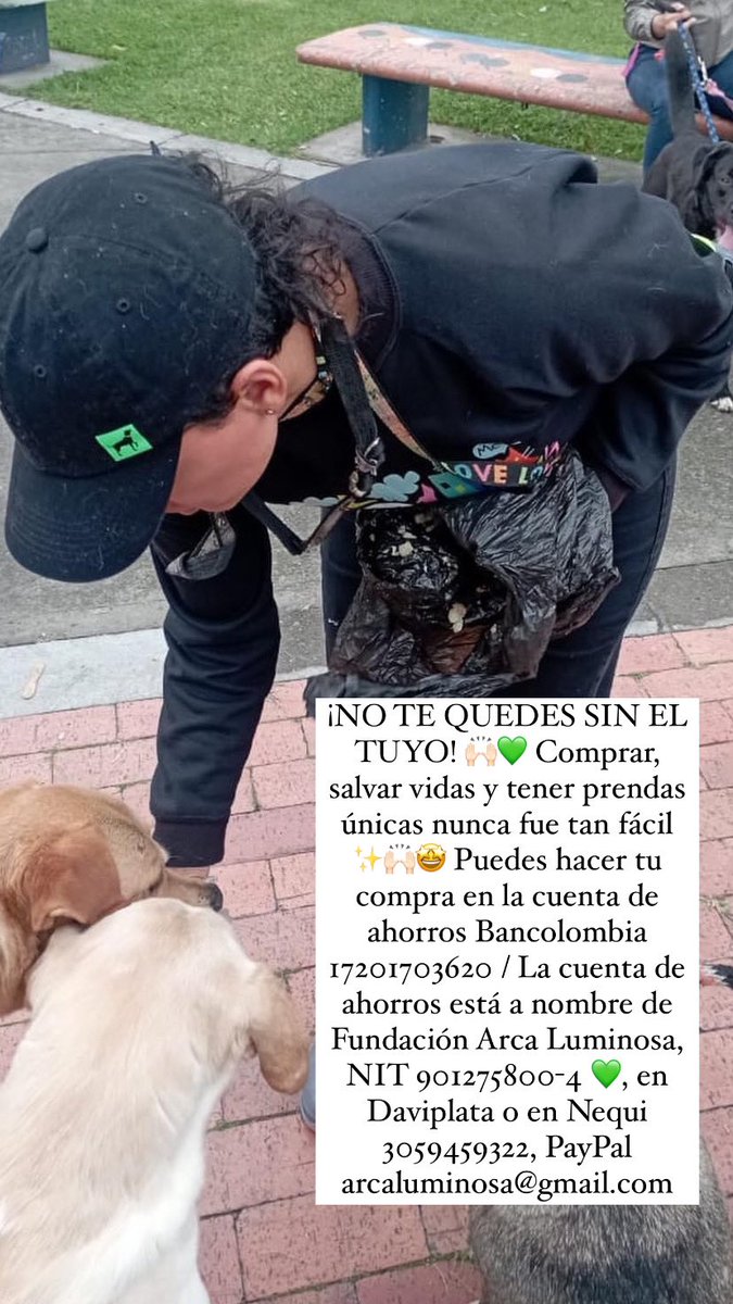 Iluminar vidas con <a href="/ArcaLuminosa/">ArcaLuminosa</a> ahora es posible ❤️✨