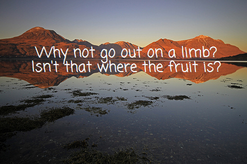 The Mindful Direction tweet media