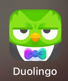 Why <a href="/duolingo/">Duolingo</a> look so angy? 🥺🥺