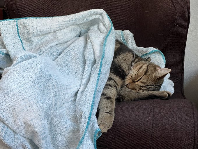 去年はなんだか何かしようとすると何かが起こり右往左往。究極の年末年始は「耐」をどうにか過ごした年でしたw  今年は「種」の年にしようと思います。沢山「種」をまいて年末年始に辰のように登れる年にしたいなと思います。登った後には変化がまっている✨&hellip;