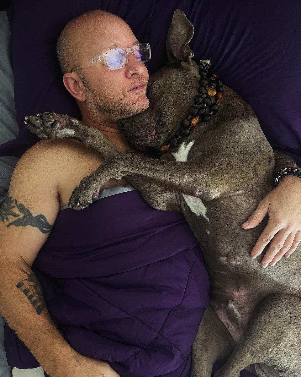 Eva La Dare tweet media