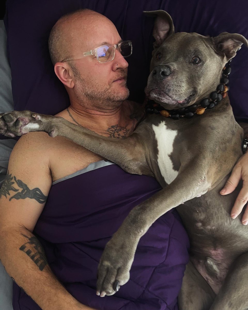 Someone’s been missing his Daddy badly.🥹 #pittielove #pitbulldad #daddyshome <a href="/ChristosAaron/">Christos Aaron</a>