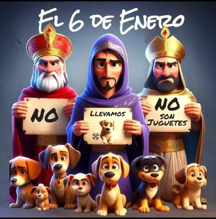 Los animales no son juguetes  !!!
#nosonjuguetes #AdoptaNoCompres