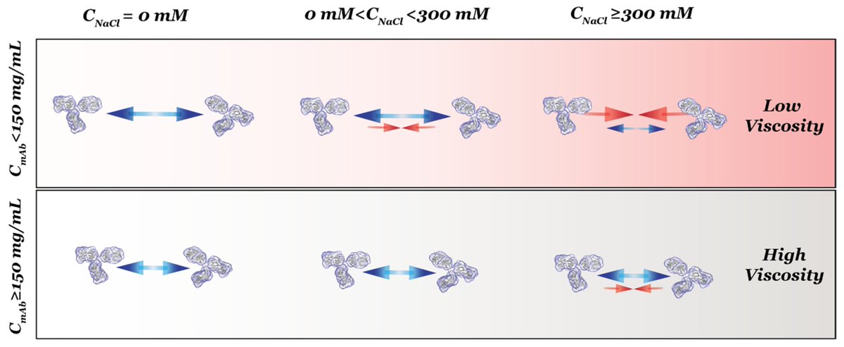 🔔#HighlyViewedpaper
Title: Effects of  Monovalent Salt on #ProteinProteinInteractions of Dilute and  Concentrated #MonoclonalAntibody Formulations
By Dr. Joseph E. Curtis et al
@NIST @Univ_System_MD @Amgen 
Link: mdpi.com/2073-4468/11/2…