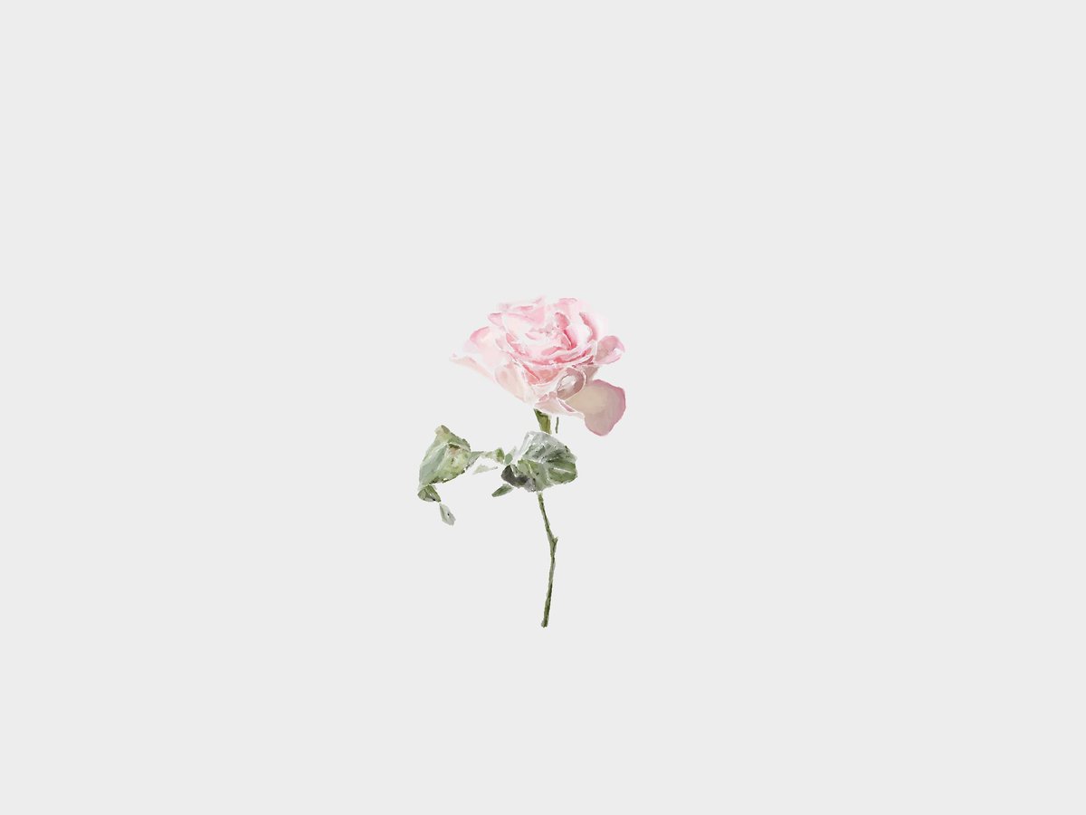 WakageNote's tweet photo. 5th Digital Single

『remember』

配信開始しました⬇️⬇️⬇️

https://t.co/3v2oAvE0oP

#WAKAGENOTE https://t.co/4I1xyKLQqW