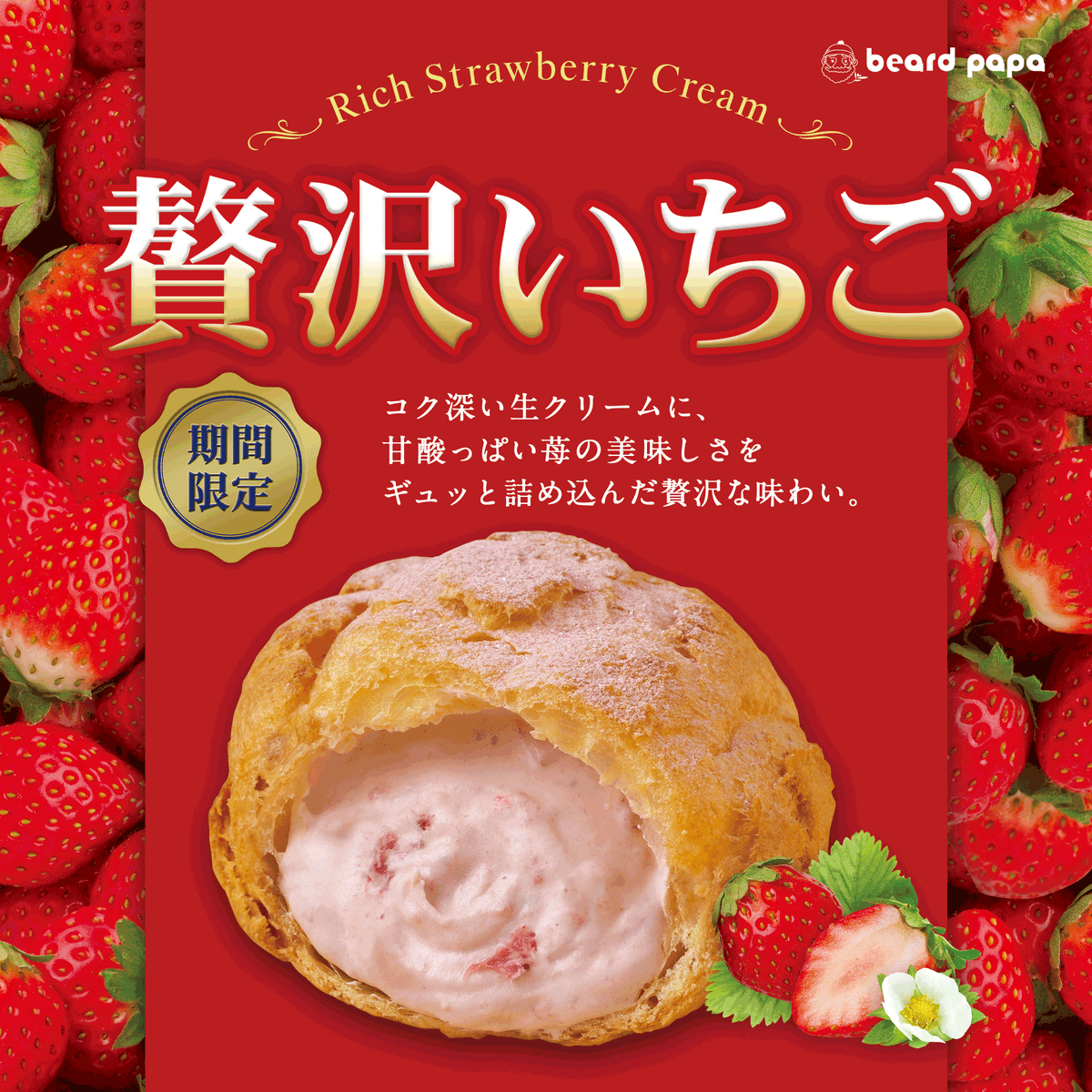 ビアードパパ beard papa 【公式】 tweet media